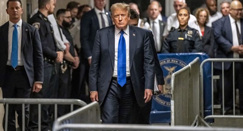 Top Democrat says 'conspiracy theory' pushed by Trump is true