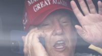 Top MAGA allies knife Trump on tariffs and warn of 'bloodbath'