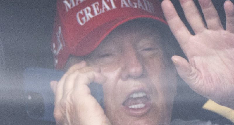 Top MAGA allies knife Trump on tariffs and warn of 'bloodbath'
