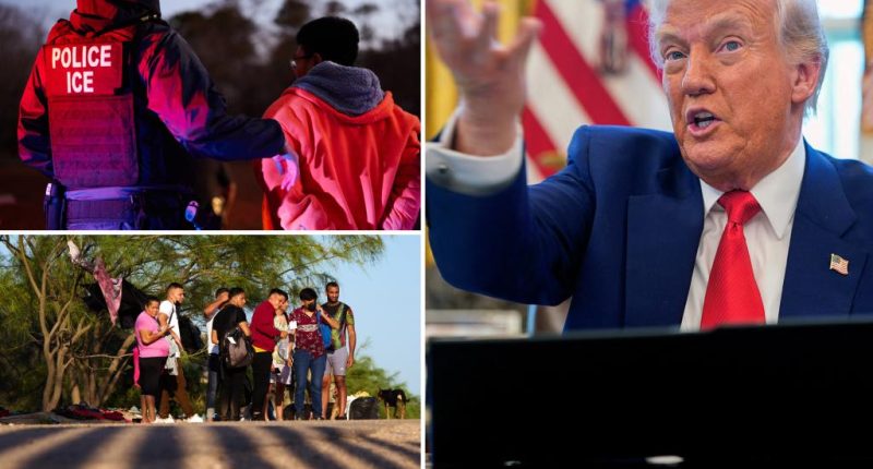 Trump admin orders ICE agents to check migrants' compliance with online registry — and refer to DOJ if they don't