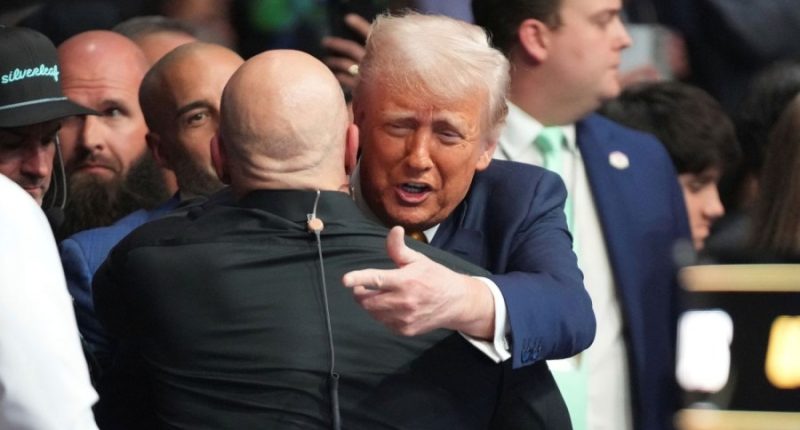 Trump attends UFC fight with Musk, Cabinet officials