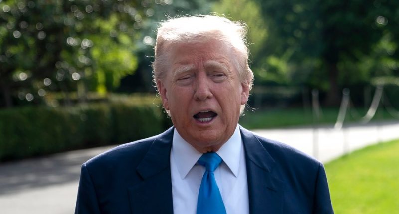 Trump floats income tax cut to ease tariff impact