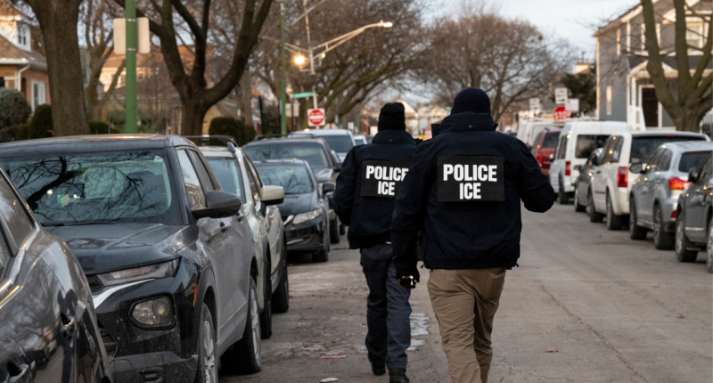 Trump nabs 30K illegal immigrants, 1,100 gang members in 100 days: 'Crime will go down,' ex-FBI agent says