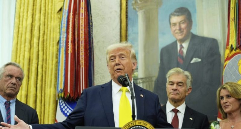 Trump on egg costs: 'If anything, the prices are getting too low'