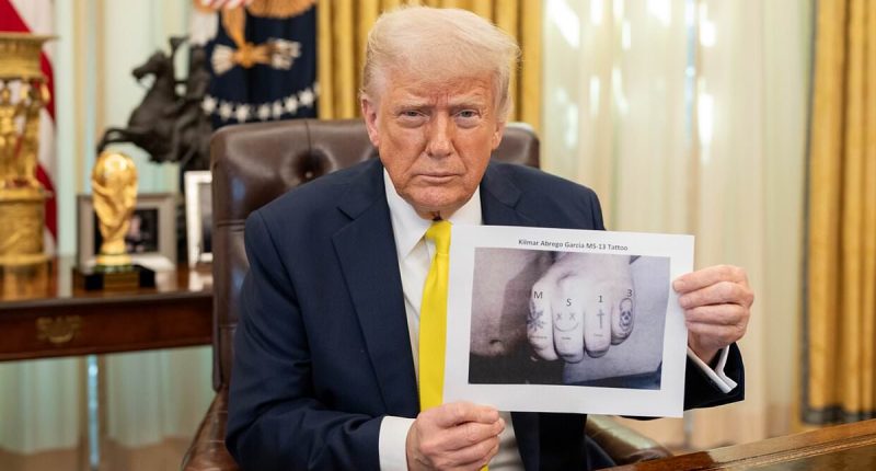 Trump shares 'PROOF' deported thug is MS-13 gangster