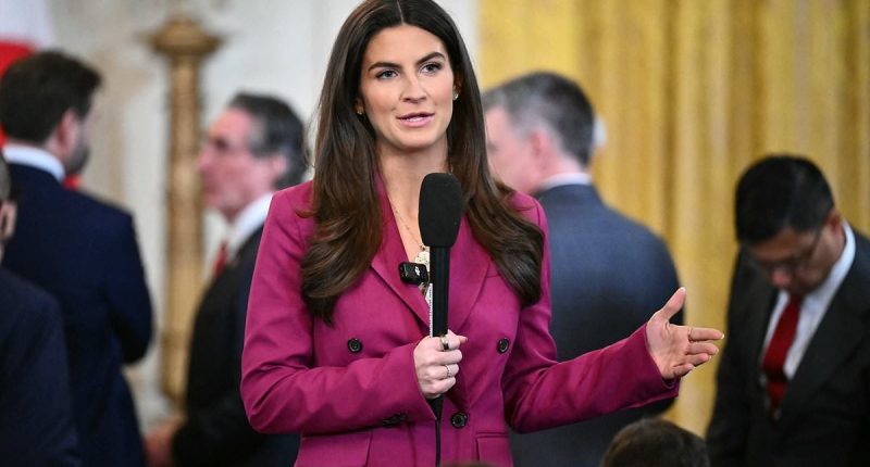 Trump swipes at CNN's Kaitlan Collins in brutal exchange
