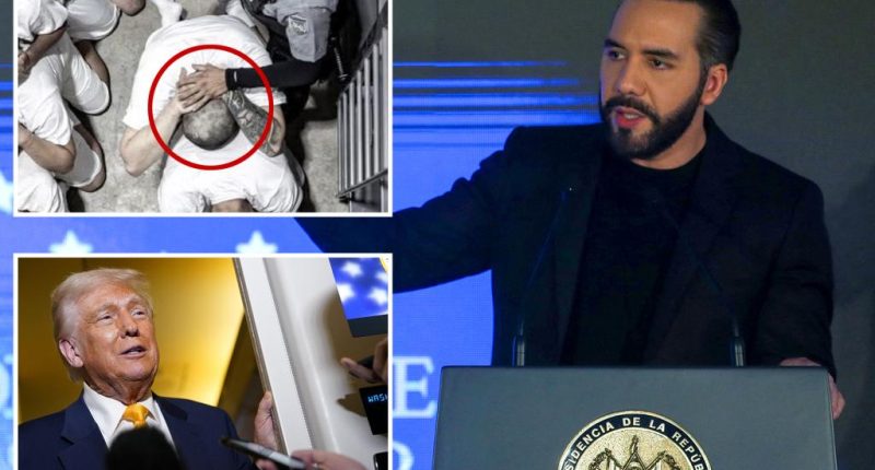 Trump team confirms wrongly deported man still alive as prez says El Salvador's leader will determine future of prisoners