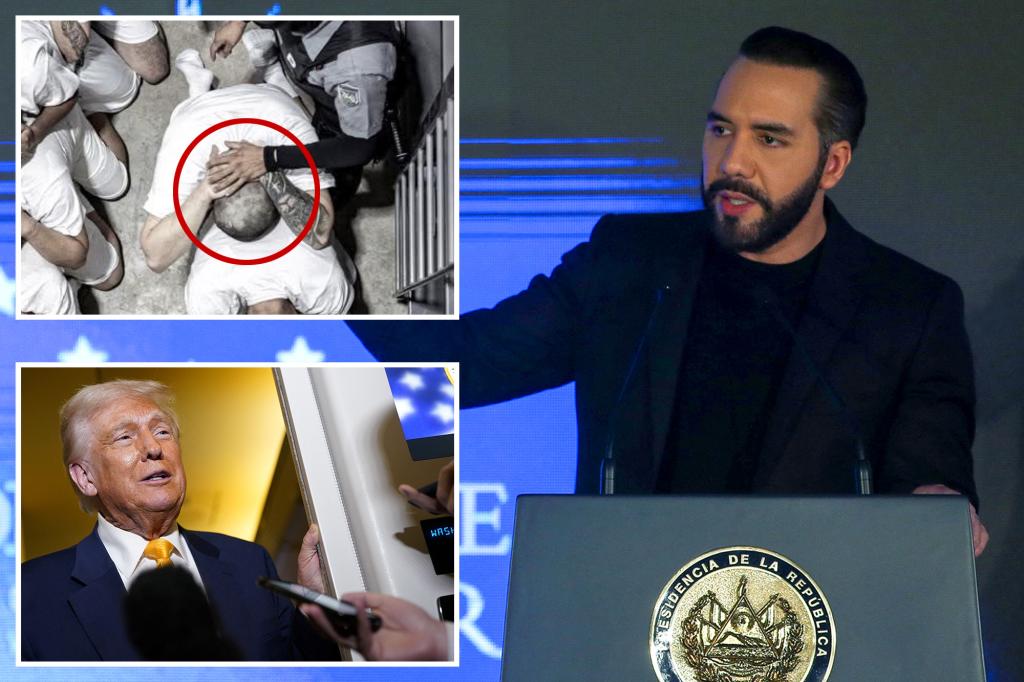 Trump team confirms wrongly deported man still alive as prez says El Salvador's leader will determine future of prisoners