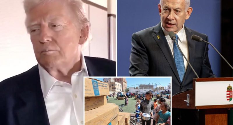 Trump tells Netanyahu 'we've got to be good to Gaza' and allow more aid