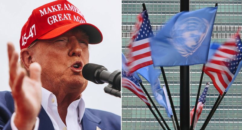 Trump urged to review UN immunity, lax visa rules amid national security concerns