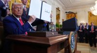 Trump's not hurting democracy. He's blowing up their oligarchy, which is why they’re so mad