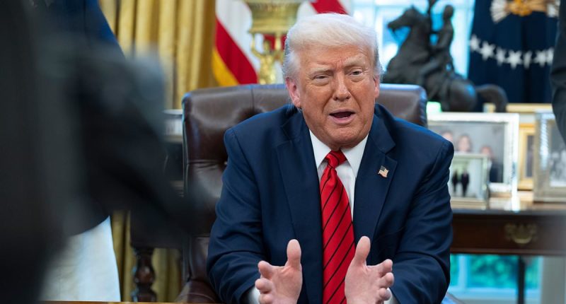 Trump's reaction on birthright citizenship being closer to reality