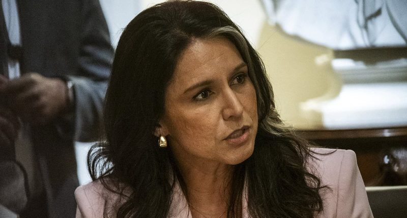 Tulsi Gabbard exposes three 'deep state criminals'