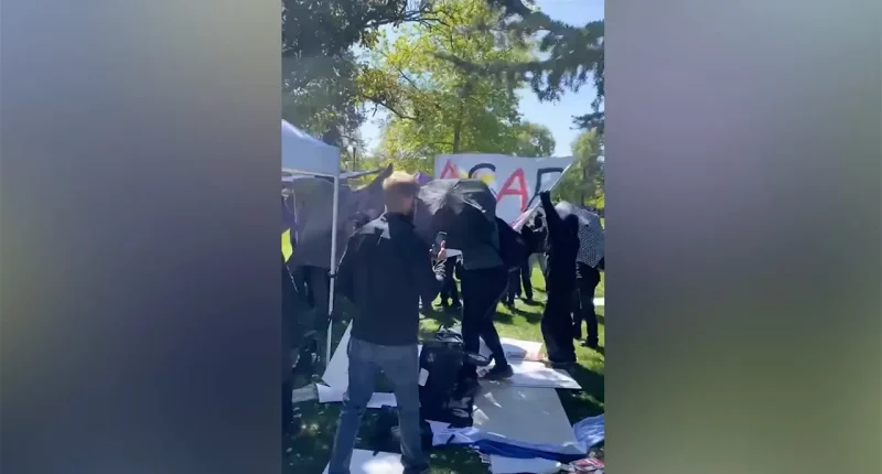Turning Point USA student group attacked at California university campus: 'What mostly peaceful looks like'