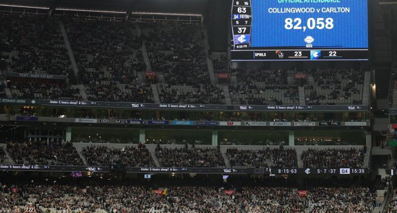 Two allegedly brought guns into Australian Football League match