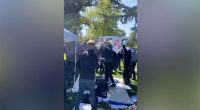 UC Davis chancellor says violent attack on student conservative group 'disappointing and embarrassing'