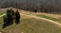 UPDATE: Gravedigger Discarded Infant Boy’s Body on Cemetery Hillside After Accidentally Digging Up His Grave
