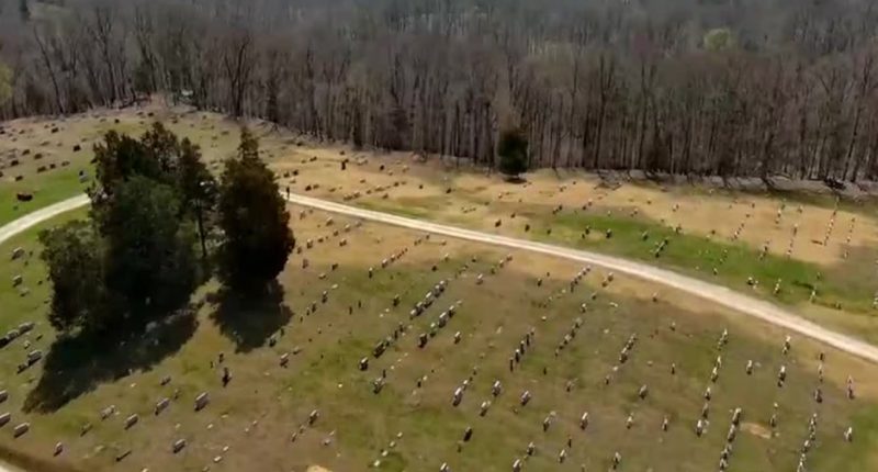 UPDATE: Gravedigger Discarded Infant Boy’s Body on Cemetery Hillside After Accidentally Digging Up His Grave
