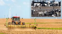 US agriculture industry in 'full-blown crisis' as Trump tariffs shrink Chinese orders
