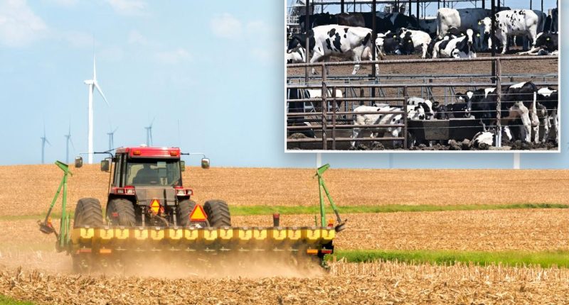 US agriculture industry in 'full-blown crisis' as Trump tariffs shrink Chinese orders