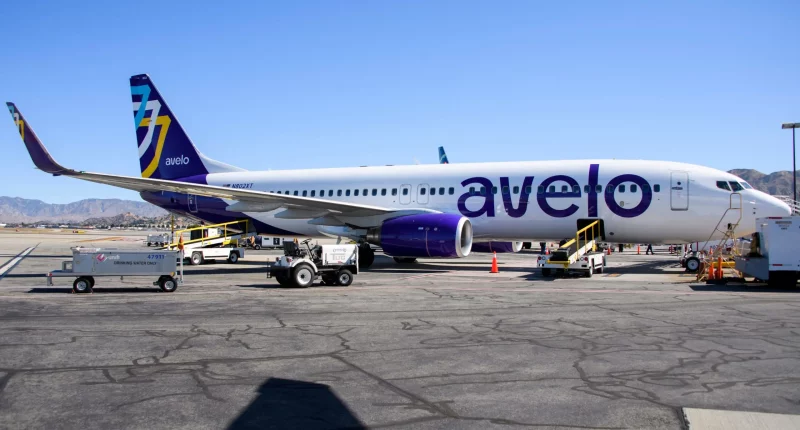 US airline partners with ICE in long-term deal to carry out deportation flights