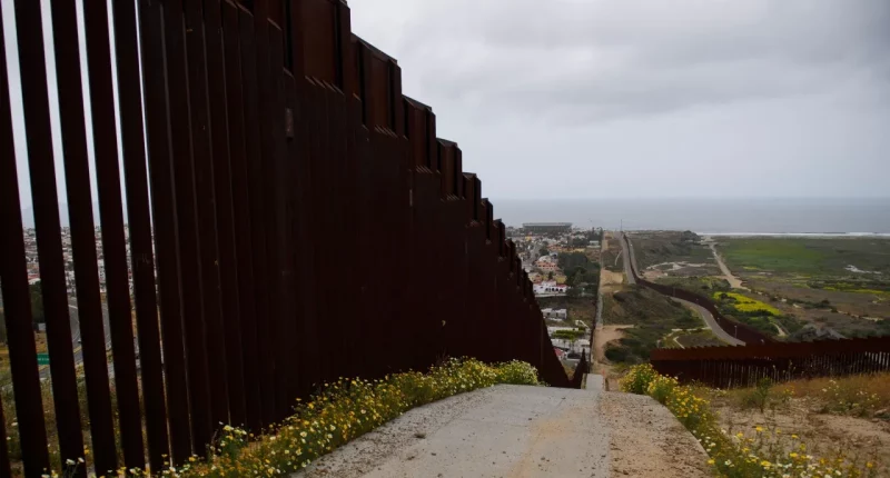 US officials make shocking discoveries at Texas-Mexico border, including a monkey: 3 people arrested