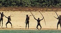 Sentinelese people on a beach with bows and arrows.