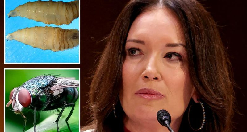 USDA threatens Mexico's beef imports over fear of flesh-eating parasite spreading north: report