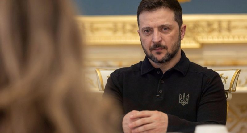 Volodymyr Zelenskyy listening to Dilan Yesilgoz-Zegerius during bilateral discussions.