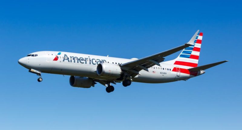 Unruly plane passenger throws fit over meal, forces Milan-bound American Airlines flight to divert back to JFK: report