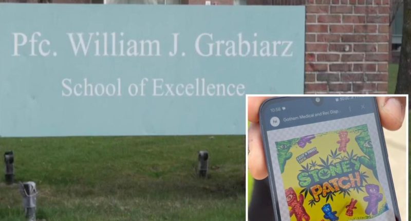 Upstate NY teacher placed on paid leave after accidentally giving students THC edibles