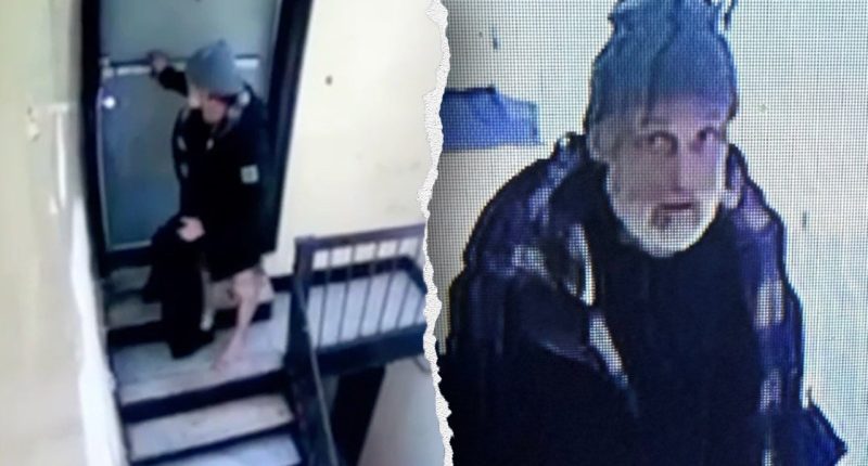 Vigilantes serve street justice after career criminal tries to rape elderly woman in broad daylight: report