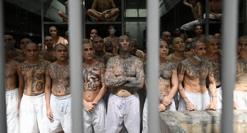 Violent MS-13 gangbangers getting 'desperate'; DHS official credits early Trump action