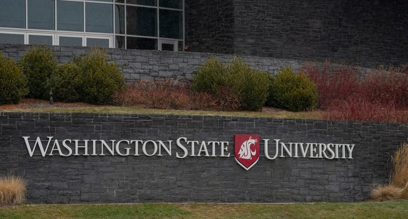 Washington State University instructor arrested for alleged assault of student with Trump hat