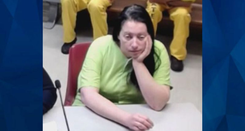 Washington State Woman Stabs Adult Daughter, Mother in Unprovoked Attack