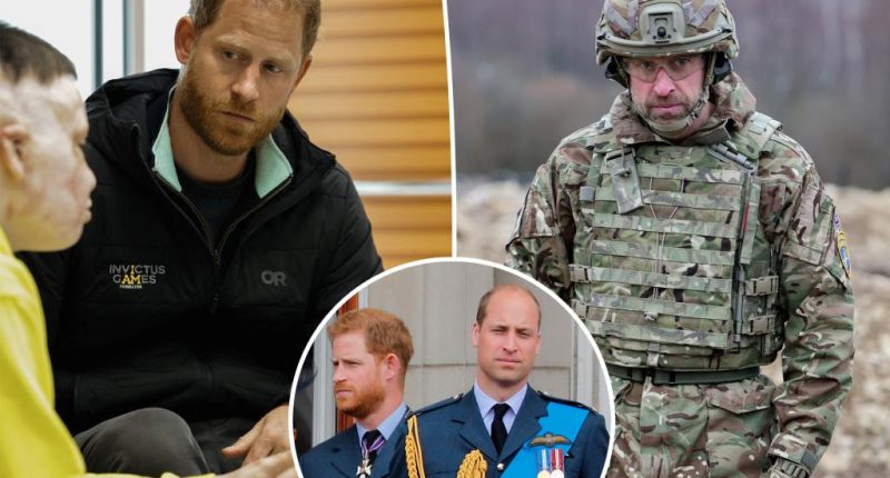 Why Prince Harry's surprise Ukraine visit left Prince William frustrated with palace officials