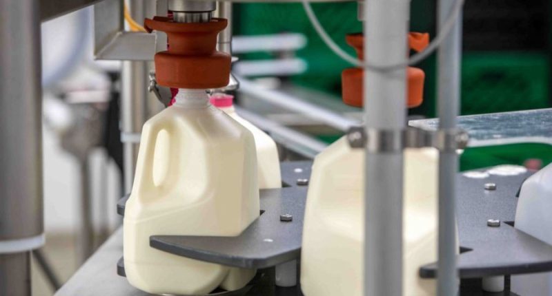 Why do plastic milk jugs have a circular indent on the side?