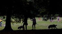 Woman arrested after pepper spraying dogs at Florida dog park, police say
