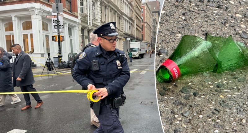 Young NYC woman stabbed in neck with glass shard while strolling around ritzy shopping hub
