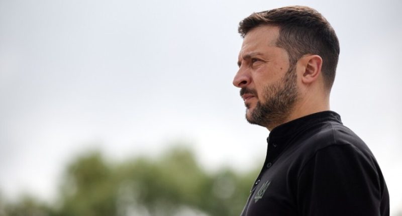 Profile view of Volodymyr Zelensky.