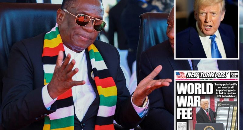 Zimbabwe to become first country set to officially cave on Trump's tariffs