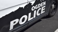 'Reckless driver': 7-year-old drives car 10 miles with 5-year-old passenger