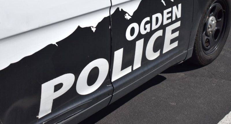 'Reckless driver': 7-year-old drives car 10 miles with 5-year-old passenger