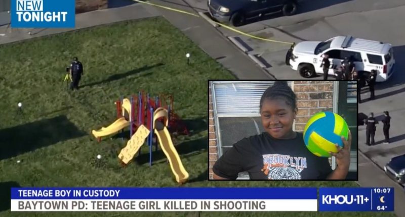 14-year-old girl murdered by classmate at playground: Cops