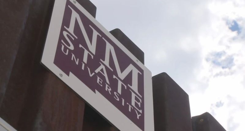 3 additional NMSU international students' visas revoked