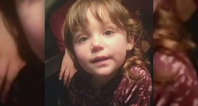 3-year-old toddler found after 10-day search