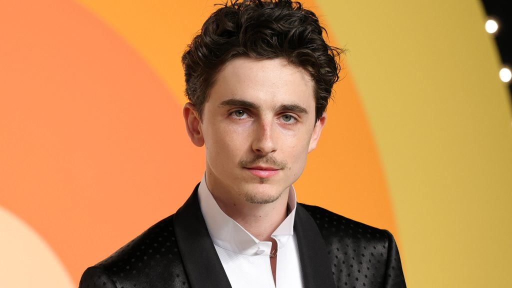 5 Most Underrated Timothee Chalamet Movies