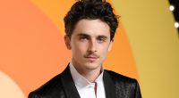 5 Most Underrated Timothee Chalamet Movies
