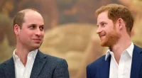 A Netflix Princess Diana Documentary From Harry Labeled Unlikely Because of What He and Prince William Said Years Ago