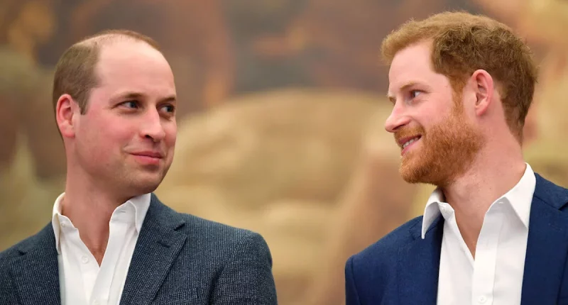 A Netflix Princess Diana Documentary From Harry Labeled Unlikely Because of What He and Prince William Said Years Ago